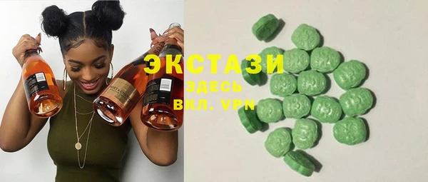 крисы Кулебаки