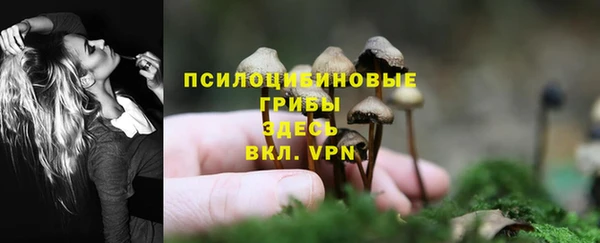 ПСИЛОЦИБИНОВЫЕ ГРИБЫ Великий Новгород