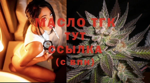 крисы Кулебаки