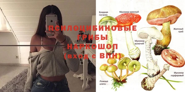 гашик Кукмор