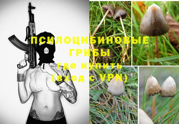 ПСИЛОЦИБИНОВЫЕ ГРИБЫ Великий Новгород
