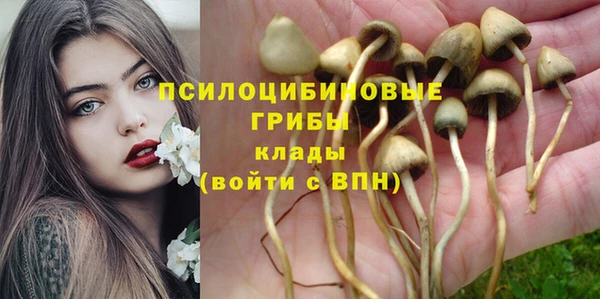 гашик Кукмор