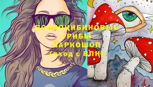 гашик Кукмор