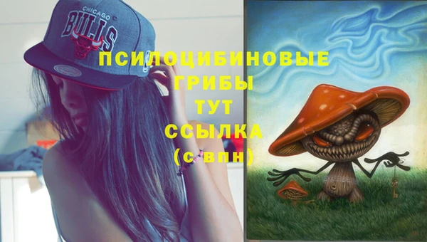 гашик Кукмор