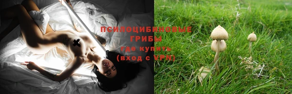 гашик Кукмор