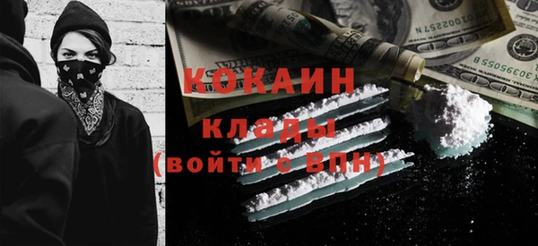 крисы Кулебаки