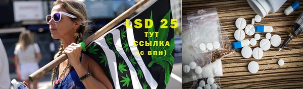 крисы Кулебаки