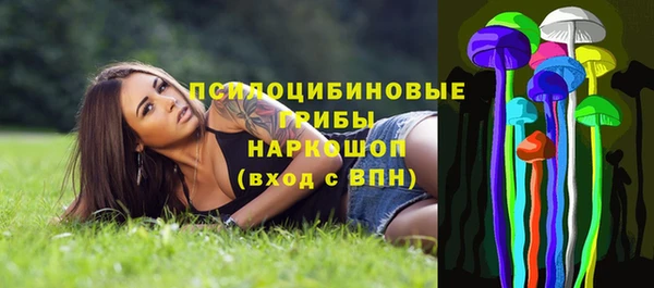 мдпв Верхний Тагил