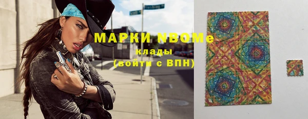крисы Кулебаки