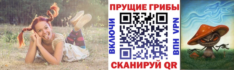 Псилоцибиновые грибы Psilocybe  Шали 