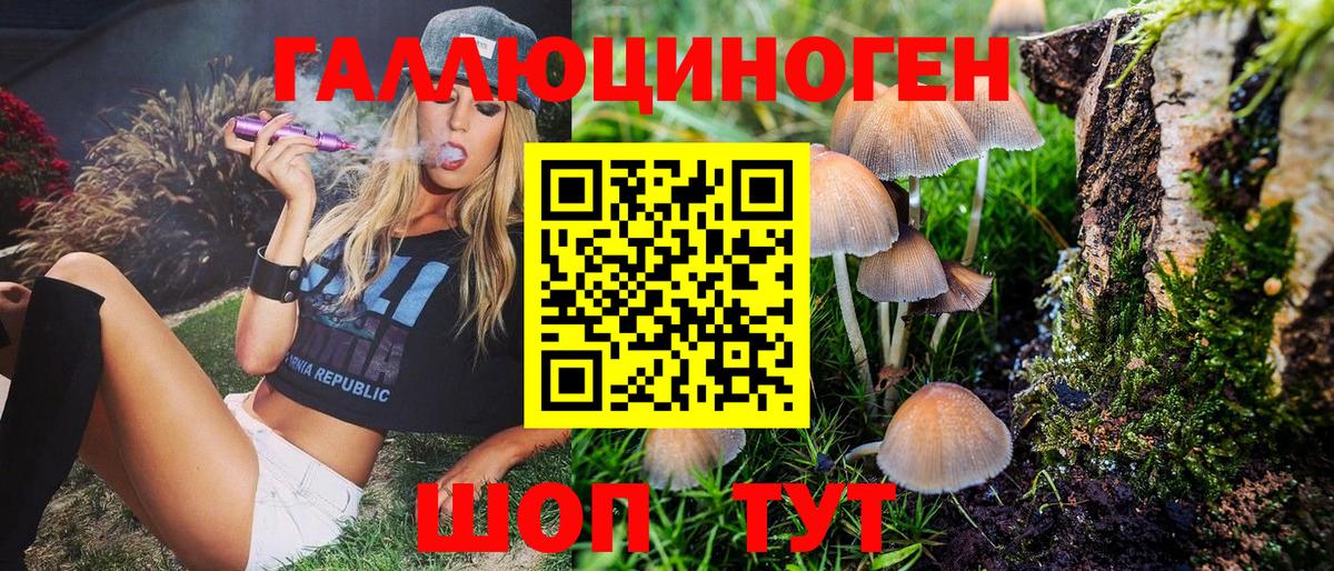 Псилоцибиновые грибы Psilocybe Шали