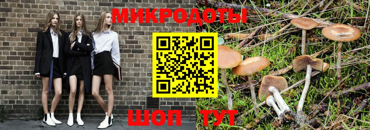 Галлюциногенные грибы MAGIC MUSHROOMS  Галлюциногенные грибы прущие грибы  Шали  Вход с VPN 